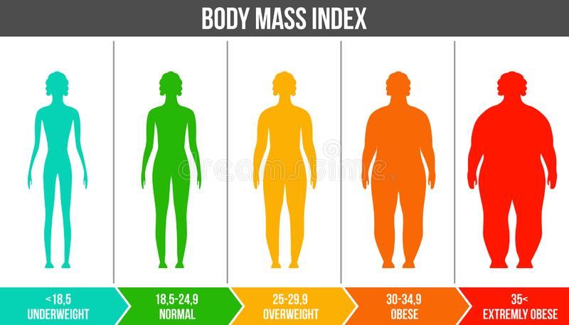 https://obesityandbodymassindex-18.webselfsite.net/file/si2197143/creative-vector-illustration-bmi-body-mass-index-infographic-chart-silhouettes-scale-isolated-transparent-131524404-fi33561906x830.jpg
